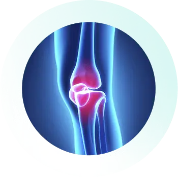 https://orthokinetics.sg/wp-content/uploads/2025/09/Knee_Specialist_Services_Loose-Bodies.webp