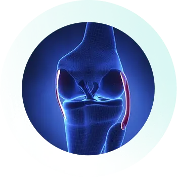 https://orthokinetics.sg/wp-content/uploads/2025/09/Knee_Specialist_Services_MCL.webp
