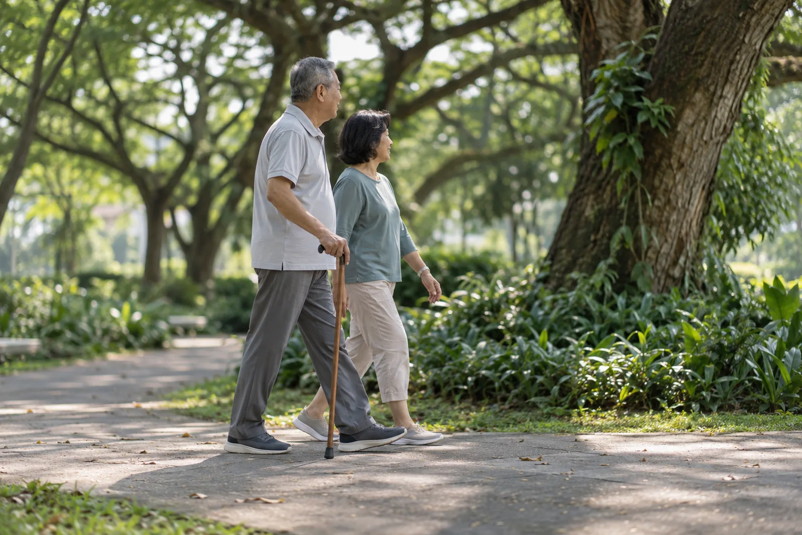 An older man walks with a simple walking stick beside a companion on a shaded park connector.